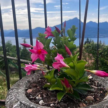 Nuovi Neli * San Zeno di Montagna